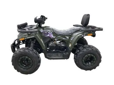 Квадроцикл Avantis (Авантис) H200 NEW BIG Premium (баланс. вал) 2025 (A) (машинокомплект)