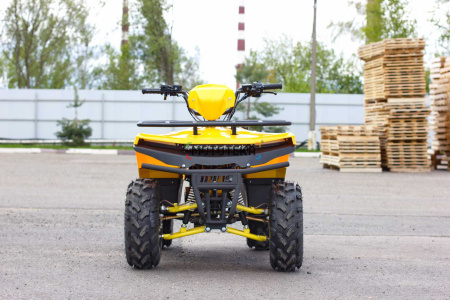 Квадроцикл IRBIS (Ирбис) ATV 200 2024 желтый с ПСМ - купить с доставкой, цены в интернет-магазине Мототека