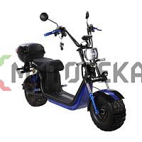 Электроскутер SKYBOARD (Скайборд) BR20 - 2WD OFF-ROAD