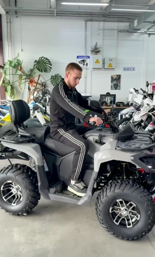 Квадроцикл Мотомир ATV HAMMER 7 250 TOURING серый (Машинокомплект) фото 2
