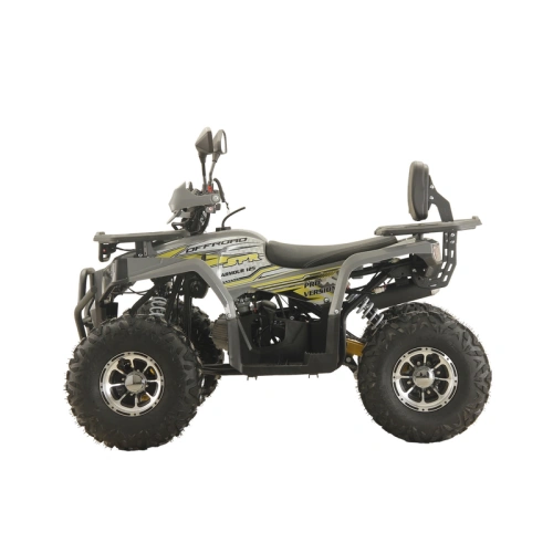 Квадроцикл ATV SPR (СПР) ARMOUR 125cc Pro Version фото 7 Квадроцикл ATV SPR (СПР) ARMOUR 125cc Pro Version фото 7