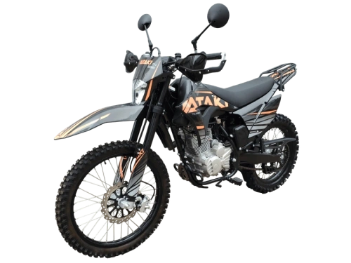 Мотоцикл кроссовый / эндуро ATAKI (Атаки) T1-L 300 MX 21/18 фото 2