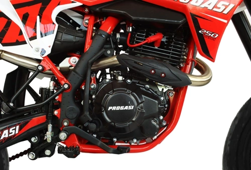 Мотоцикл кроссовый / эндуро Progasi (Прогаси) Super Max 250 SM Red с ЭПТС фото 8