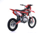 Питбайк Apollo (Аполло) TRACKER 125 LE 17/14 красный - купить с доставкой, по выгодной цене в интернет-магазине Мототека