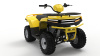 Квадроцикл IRBIS (Ирбис) ATV 250 2024 желтый с ПСМ - купить с доставкой, цены в интернет-магазине Мототека