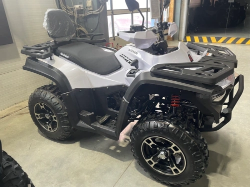 Квадроцикл BASHAN EXPLORER 320 EFI white с ПСМ