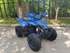 Квадроцикл Мотомир ATV SPORTY 250 синий (машинокомплект) - купить с доставкой, цены в интернет-магазине Мототека