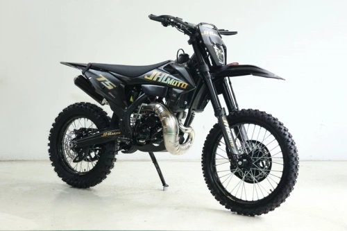 Мотоцикл кроссовый / эндуро JHLMOTO T5 MT250 фото 4