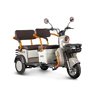 Электротрицикл Rutrike (Рутрайк) Gelbert Beta 48V/60V 800Вт