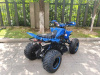 Квадроцикл Мотомир ATV SPORTY 250 синий (машинокомплект) - купить с доставкой, цены в интернет-магазине Мототека