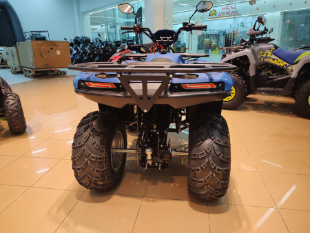 Квадроцикл IRBIS (Ирбис) ATV 250 2024 синий с ПСМ - купить с доставкой, цены в интернет-магазине Мототека