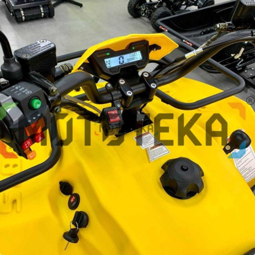 Квадроцикл IRBIS (Ирбис) ATV 200 Premium 2024 жёлтый с ПСМ фото 3