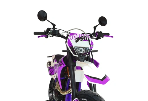 Мотоцикл кроссовый / эндуро Progasi (Прогаси) Super Max 250 SM Purple с ЭПТС фото 6