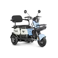 Электротрицикл Rutrike (Рутрайк) Gelbert Vega 48V/60V 600Вт