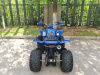 Квадроцикл Мотомир ATV SPORTY 250 синий (машинокомплект) - купить с доставкой, цены в интернет-магазине Мототека
