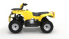 Квадроцикл IRBIS (Ирбис) ATV 250 2024 желтый с ПСМ - купить с доставкой, цены в интернет-магазине Мототека