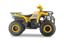Квадроцикл WELS (Велс) THUNDER Trail 200 синий (машинокомплект)