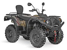 Квадрицикл Baltmotors (Балтмоторс) Striker 700 EFI с ПСМ