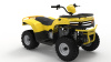 Квадроцикл IRBIS (Ирбис) ATV 250 2024 желтый с ПСМ - купить с доставкой, цены в интернет-магазине Мототека