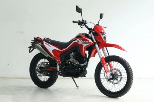 Мотоцикл кроссовый / эндуро JHLMOTO RMX300 PR300 (ZS175FMN)