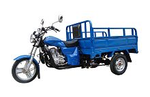 Трицикл грузовой Racer (Рейсер) RC200ZH Muravei с ПСМ