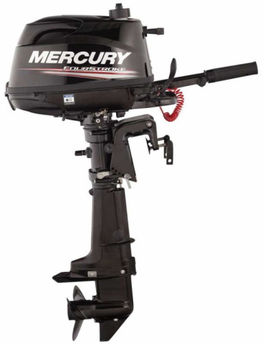 Лодочный мотор Mercury (Меркури) F5 M фото 2