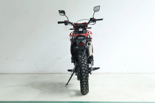 Мотоцикл кроссовый / эндуро JHLMOTO RMX300 PR300 (ZS175FMN) фото 7