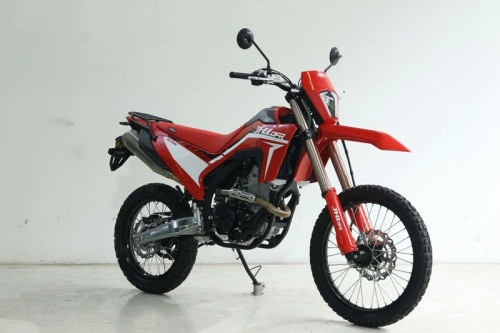 Мотоцикл кроссовый / эндуро JHLMOTO RLX300 YF300F фото 4