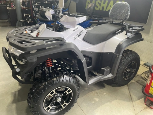Квадроцикл BASHAN EXPLORER 320 EFI white с ПСМ фото 2