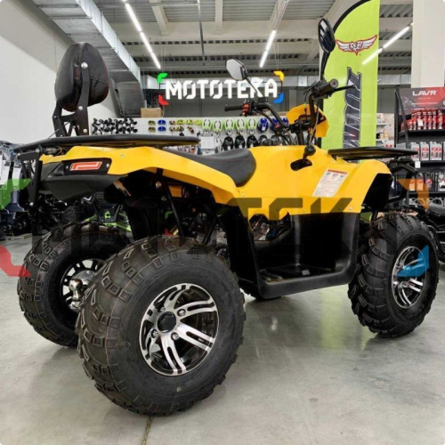 Квадроцикл IRBIS (Ирбис) ATV 200 Premium 2024 жёлтый с ПСМ фото 8