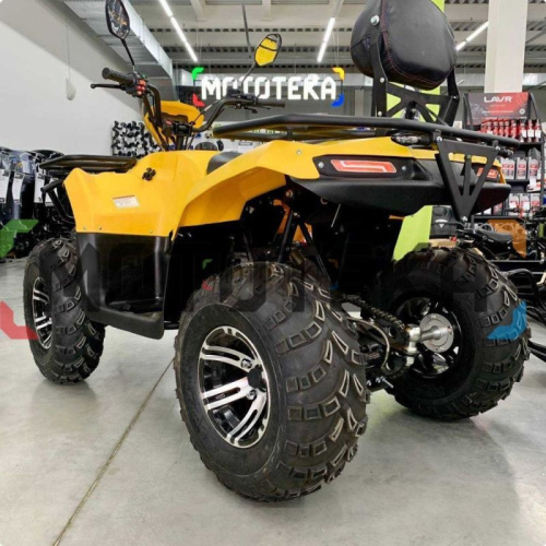 Квадроцикл IRBIS (Ирбис) ATV 200 Premium 2024 жёлтый с ПСМ фото 4