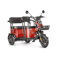 Электротрицикл Wanshida UM+ 60V 1000Вт