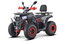 Квадроцикл FXMOTO (ФХМото) WASP 200 LUX серый (машинокомплект)